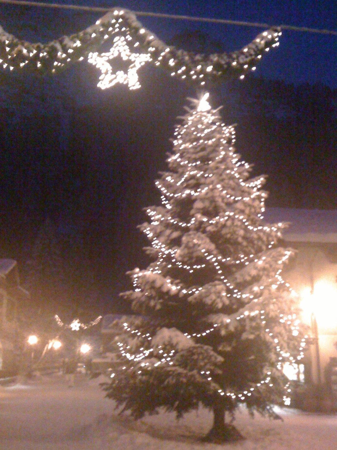 Albergo Alpenrose Ski&Bike Mountain Hotel Gressoney-Saint-Jean Exterior photo