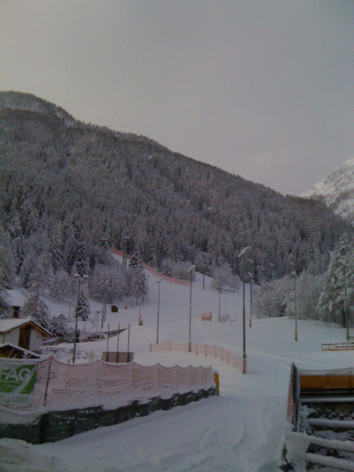 Albergo Alpenrose Ski&Bike Mountain Hotel Gressoney-Saint-Jean Exterior photo