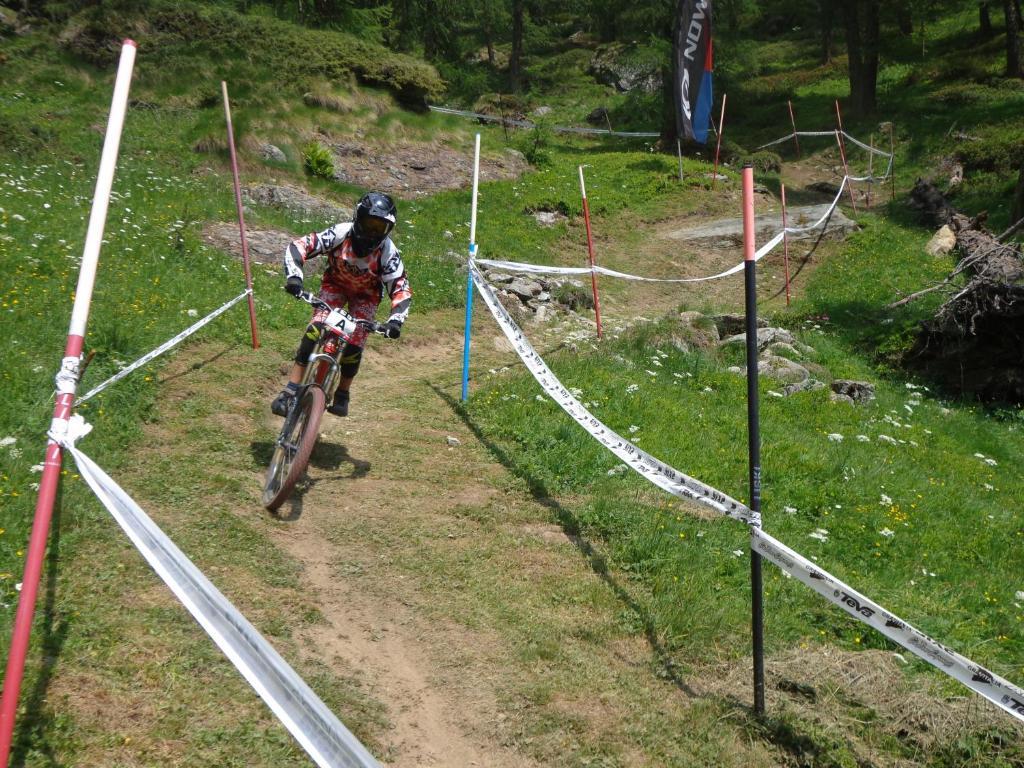 Albergo Alpenrose Ski&Bike Mountain Hotel Gressoney-Saint-Jean Exterior photo