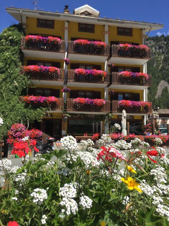 Albergo Alpenrose Ski&Bike Mountain Hotel Gressoney-Saint-Jean Exterior photo