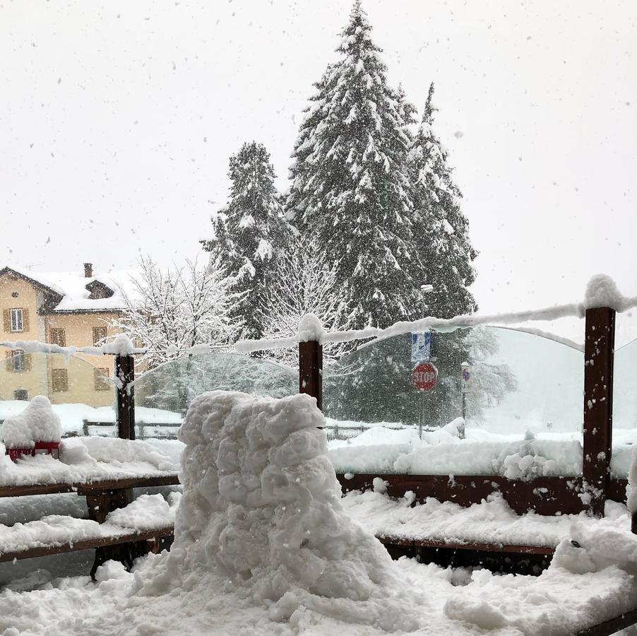 Albergo Alpenrose Ski&Bike Mountain Hotel Gressoney-Saint-Jean Exterior photo