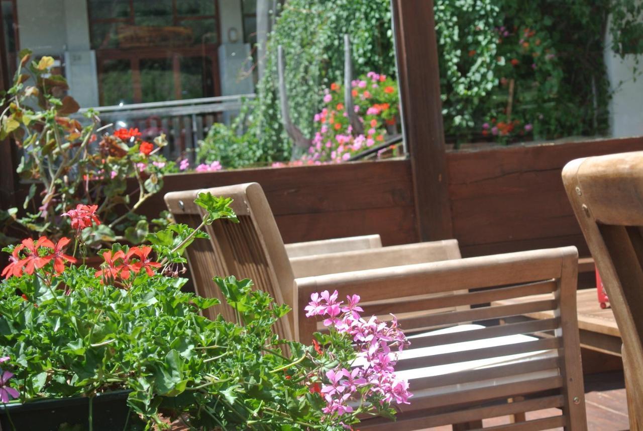 Albergo Alpenrose Ski&Bike Mountain Hotel Gressoney-Saint-Jean Exterior photo
