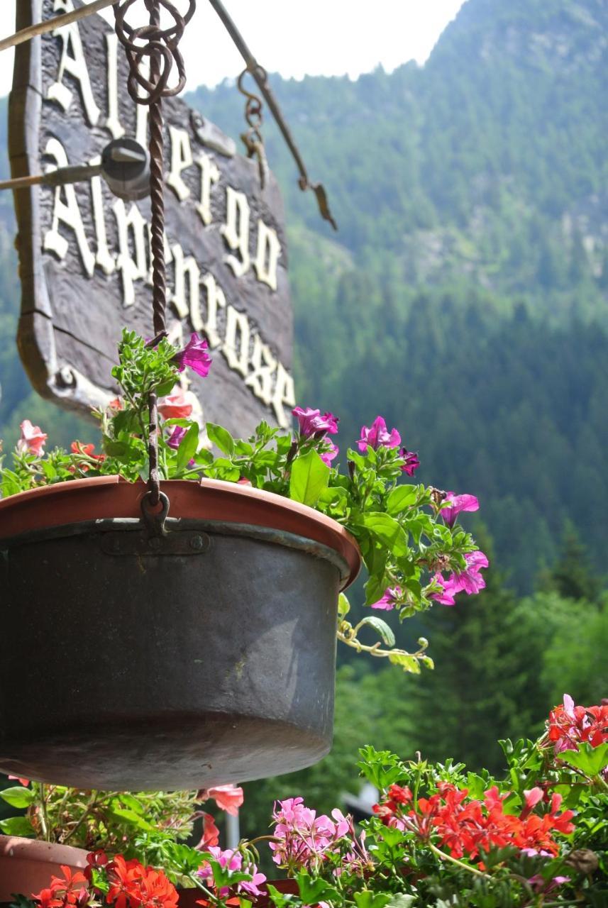 Albergo Alpenrose Ski&Bike Mountain Hotel Gressoney-Saint-Jean Exterior photo