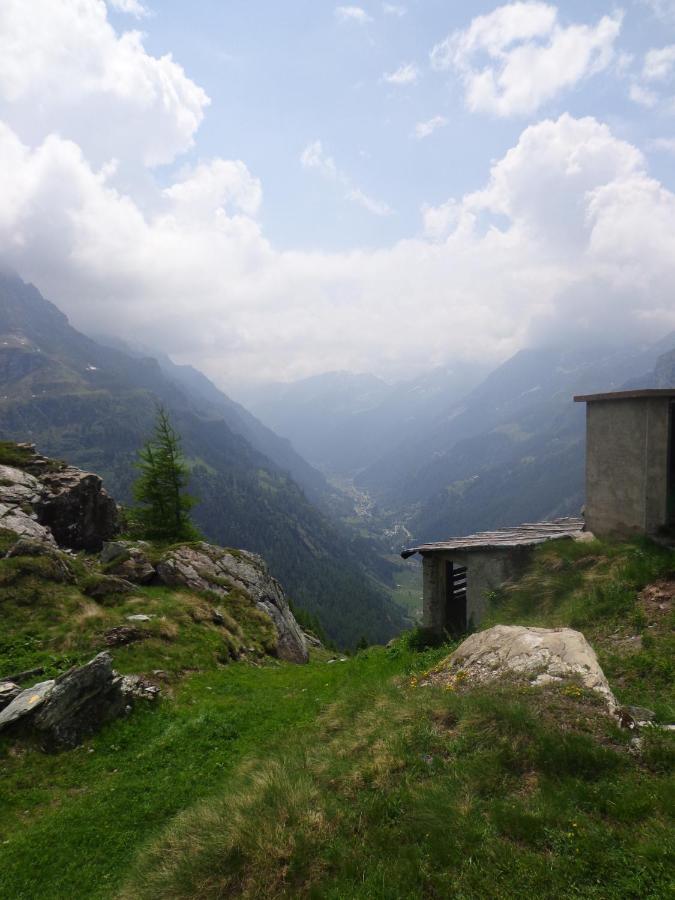 Albergo Alpenrose Ski&Bike Mountain Hotel Gressoney-Saint-Jean Exterior photo